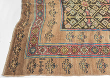 It features an allover lattice design of flowering shrubs in reds, blues, yellow, blue and aubergine on a dark brown ground. Uncommonly and to great effect a narrow red ground border of vibrant polychrome rosettes is sandwiched between two wider matching borders of simple blossoming flowers on a soft camel ground. The undulation and openness of the camel ground highlights the natural brown wool these rugs are famed for and gives the composition an open and grand feel. Serab camel wool