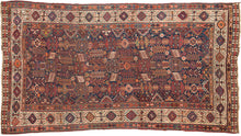 This Shekarlu rug was woven at the turn of the 20th century. The Shekarlu are a Lori-speaking tribe of the Qashqa'i Confederacy.

It features a spectacular all-over field chock full of totemic polygons, rosettes, serrated combs, and various types of animals and protection symbols. Nicely balanced yet yet still with a free flowing rhythm. It features reds, lively blues, sunny yellows, sage, brown and bright ivory on a indigo ground. The whole is framed by a stark white border