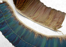 kayapo amazon rainforest macaw feather headdress 