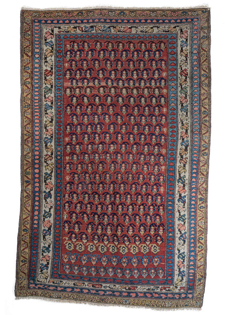 Antique NW Persian Kurdish Area Rug with colorful repeating boteh motif and 4 borders