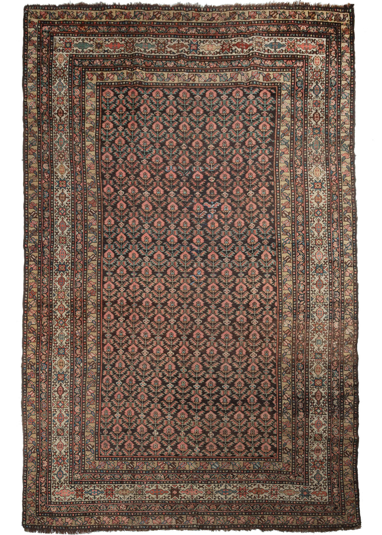 Antique Persian Khamseh carpet featuring a stunning field of blooming tulips atop a dark brown backdrop with green accents. It is framed by a stark white main border of alternating eight pointed stars and hooked cartouche like devices.